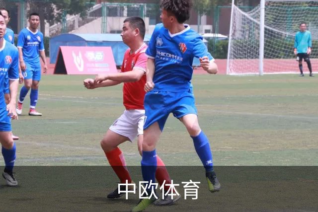 关于中欧体育